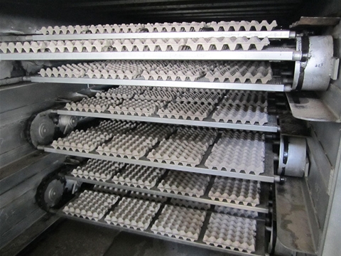 蛋盒机4000-4800片每小时